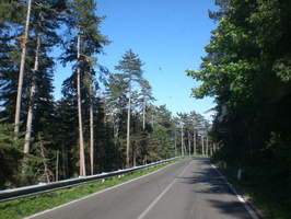 CIMG3032.JPG