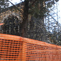2009-09-11-17h33m44.jpg