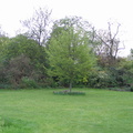 Londra 2006 111.jpg