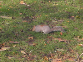 London2012 2012-11-30 12-34-49-ema