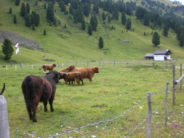 2008-07-27-10h05m02.jpg