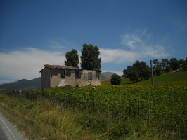 2008-07-11-14h21m44.jpg
