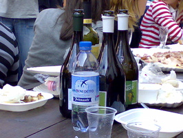 09042007415.jpg